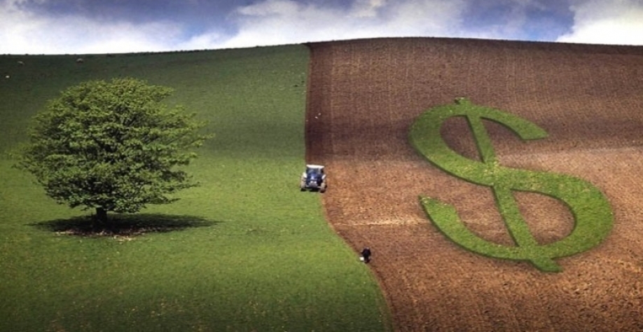 Mapa estima VBP de R$ 1,135 tri, alta de 1,9% ante 2022