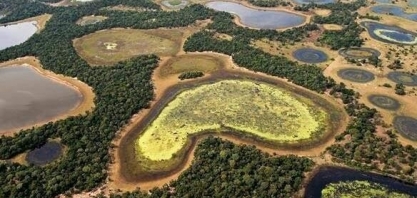 Decreto de MS suspende licença para desmatamento no Pantanal