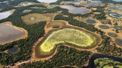 Decreto de MS suspende licença para desmatamento no Pantanal