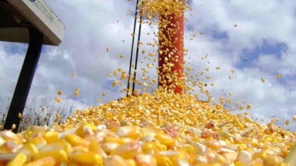 Brasil elimina gargalos para desbancar EUA como maior exportador de milho