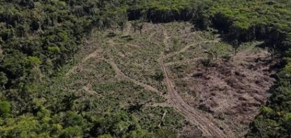 Por que o Pará é o campeão de desmatamento na Amazônia