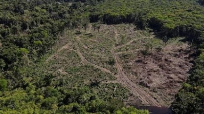 Por que o Pará é o campeão de desmatamento na Amazônia