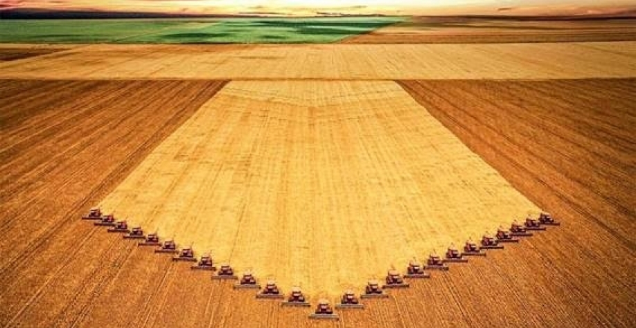 IBGE: Área a ser colhida em 2023 é de 77,1 mi de há, 5,2% maior que em 2022