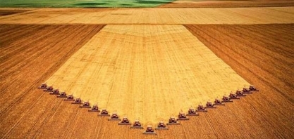 IBGE: Área a ser colhida em 2023 é de 77,1 mi de há, 5,2% maior que em 2022