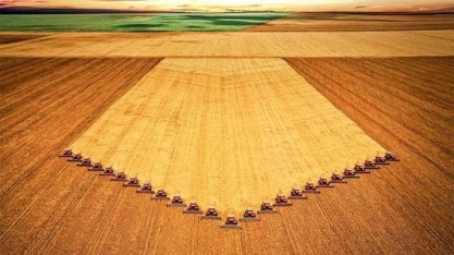 IBGE: Área a ser colhida em 2023 é de 77,1 mi de há, 5,2% maior que em 2022