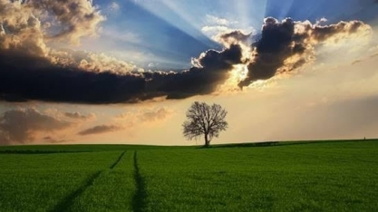 Produção mundial de alimentos deve perder ritmo nos próximos dez anos