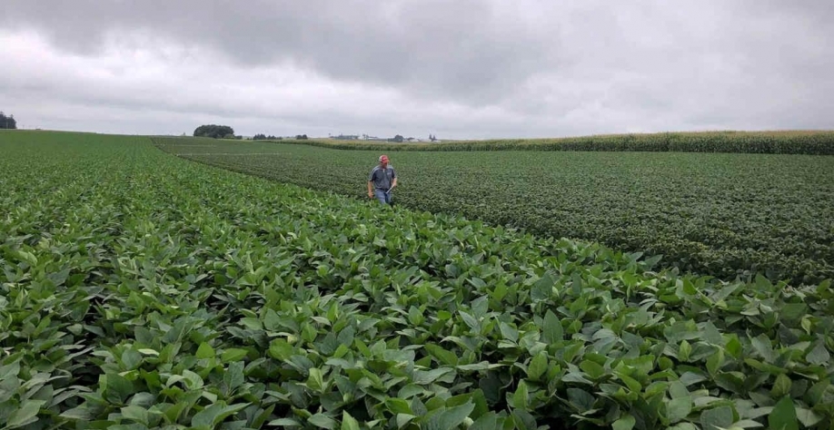 USDA mantém em 156 mi de t estimativa para safra de soja 2022/23 do Brasil