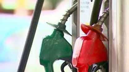 Maior mistura de etanol anidro daria impulso de 5% à produção, diz Única