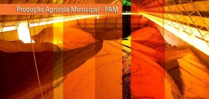 Sorriso (MT) é município com maior valor de produção agrícola no Brasil