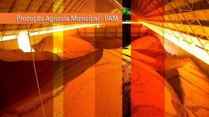 Sorriso (MT) é município com maior valor de produção agrícola no Brasil