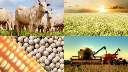 PIB do agronegócio tem alta de 0,5% no primeiro semestre