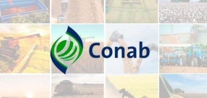 Produção de carnes será de 30,85 mi de t em 2023,  ante 30,02 mi de t de 2023