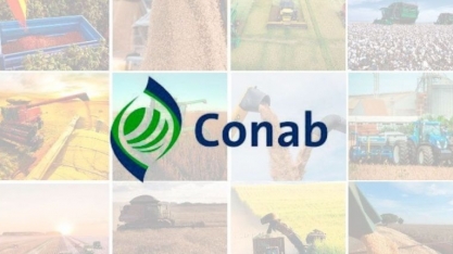 Produção de carnes será de 30,85 mi de t em 2023,  ante 30,02 mi de t de 2023