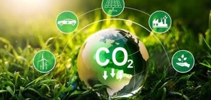 Como tropicalizar o mercado de carbono brasileiro