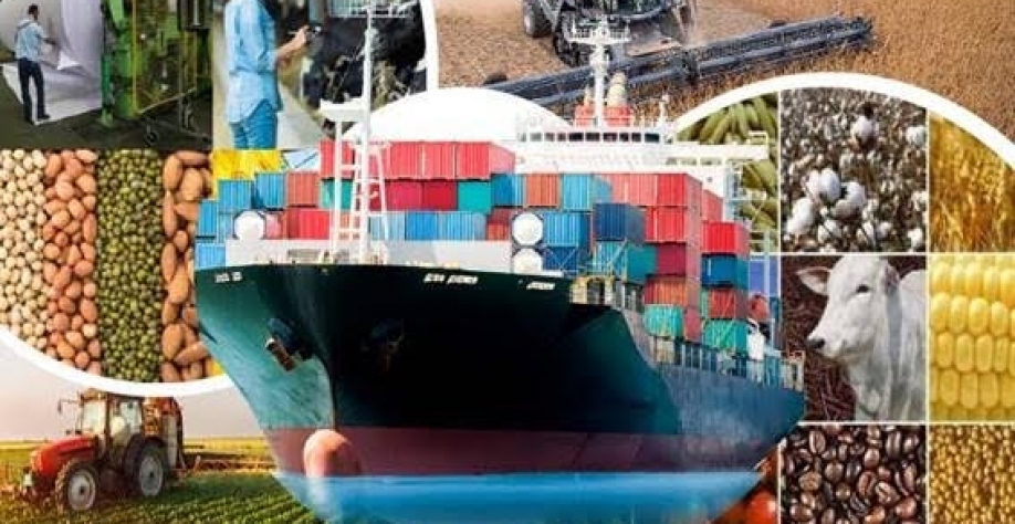 Agronegócio exporta recorde para meses de agosto