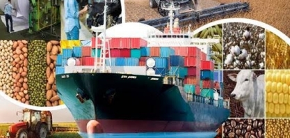 Agronegócio exporta recorde para meses de agosto