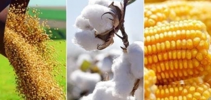 Depois de soja e milho, o algodão – Editorial O Estado de S.Paulo