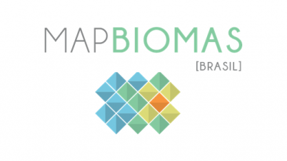 Desmatamento acelerou após Código Florestal, apontam dados