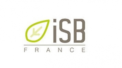 Empresa francesa é multada por importar madeira ilegal do Brasil