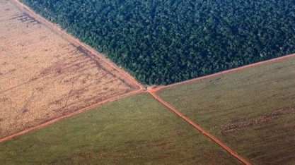 Milhões de ha de soja em fazendas com indícios de problemas ambientais