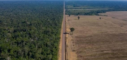 Alertas de desmatamento na Amazônia caem 71% em agosto