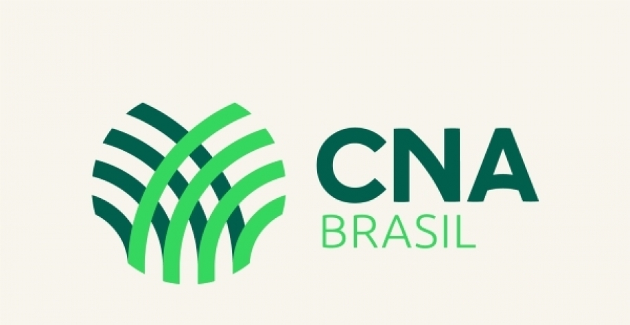 PIB do agro pode crescer de 13% a 13,5% este ano puxado pelos grãos