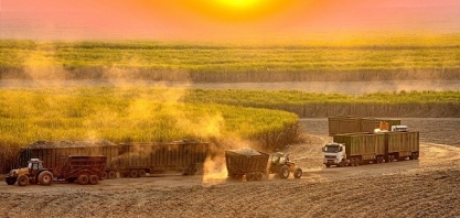 Cana: Moagem acumulada no Centro-Sul em setembro sobe 10,34%