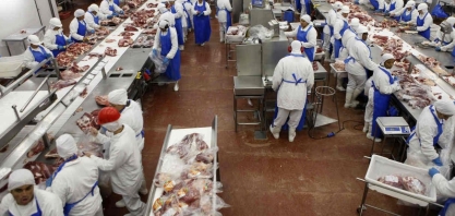 Carne bovina: Exportação em agosto rende -29%