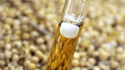  PL do ‘combustível do futuro’ quer elevar mistura na gasolina e diesel