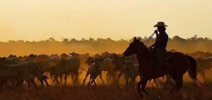 The Economist vai a Sinop, na Amazônia, e elogia: 'agora parece o Texas'