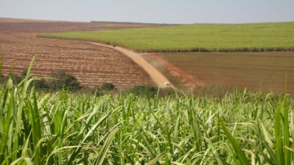  Produtividade dos canaviais do Centro-Sul registra alta de 23%