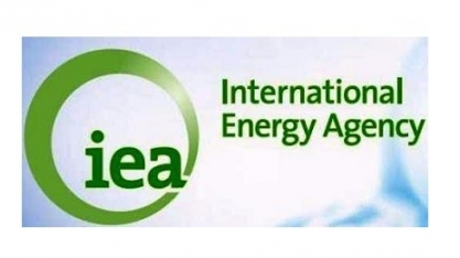 Agência prevê recorde de demanda por combustíveis fósseis em uma década