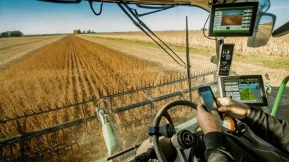 Em ano de safra recorde, o destaque é a produtividade