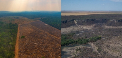 Alertas de desmatamento caem 66% na Amazônia em agosto; sobem 2% no cerrado