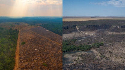 Alertas de desmatamento caem 66% na Amazônia em agosto; sobem 2% no cerrado