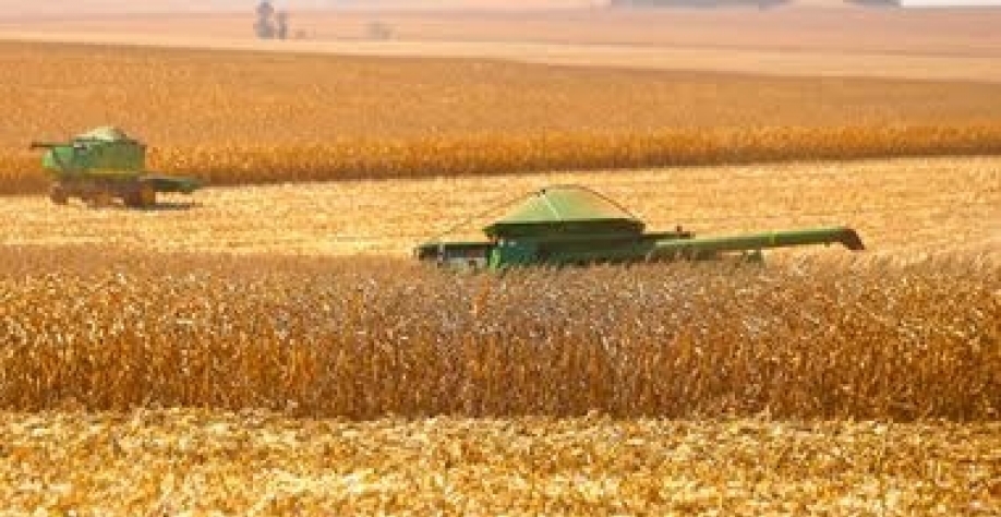 Brasil amplia liderança nas exportações do agro, agora nas vendas de milho