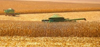 Brasil amplia liderança nas exportações do agro, agora nas vendas de milho