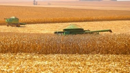 Brasil amplia liderança nas exportações do agro, agora nas vendas de milho