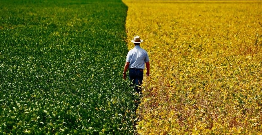 Concorrência do Brasil afeta balança do agronegócio dos EUA