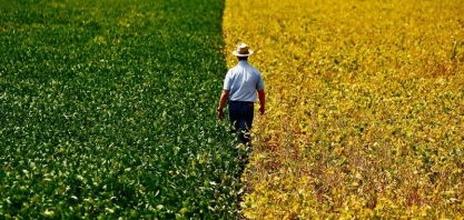 Concorrência do Brasil afeta balança do agronegócio dos EUA