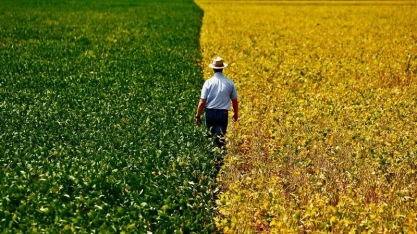 Concorrência do Brasil afeta balança do agronegócio dos EUA