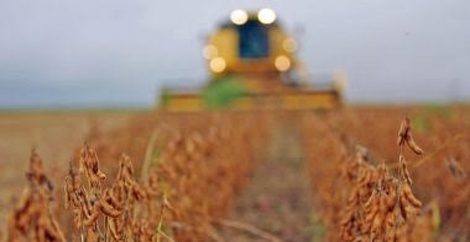 Brasil vai exportar 99 milhões de toneladas de soja em 2023, um recorde histórico; grande desafio é logístico, pois capacidade de armazenar é de apenas 75% da produção.  Foto: Vivi Zanatta/Estadão