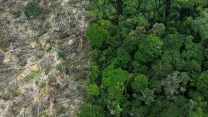 Desmatamento destrói até 92% no entorno de terras indígenas na Amazônia