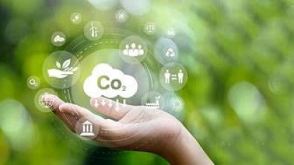  Mercado de carbono: Transformando a potencialidade em realidade