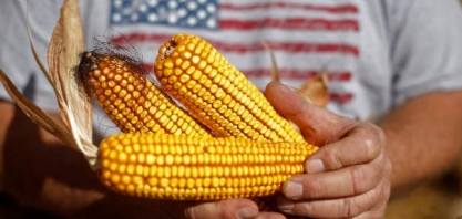 Etanol/EUA: Exportação em agosto cai 10% ante julho, para 387,21 mi de L