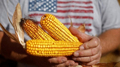 Etanol/EUA: Exportação em agosto cai 10% ante julho, para 387,21 mi de L