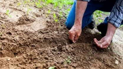 Remuneração e formalidade no agro crescem em 7 anos, diz FGV
