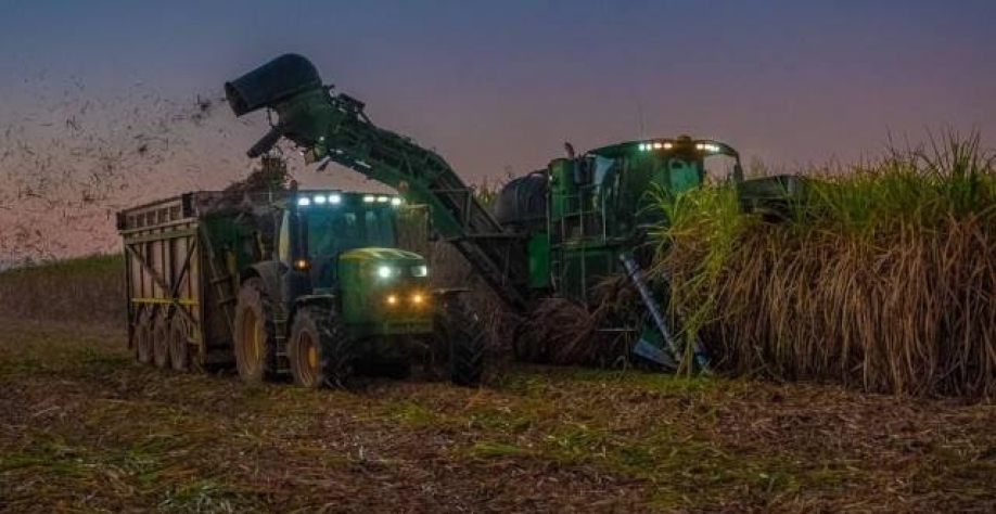 Cana: CS processa 44,78 mi de t na 2ª quinz. de setembro, alta anual de 77%