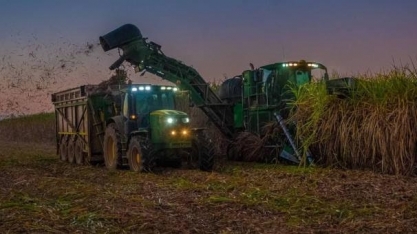 Cana: CS processa 44,78 mi de t na 2ª quinz. de setembro, alta anual de 77%