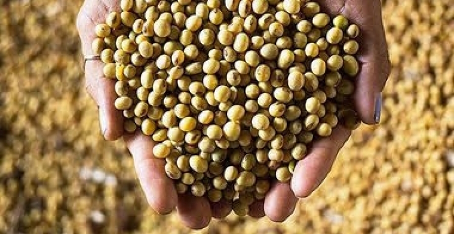 Agronegócio colhe os frutos da adoção de métodos de produção sustentáveis